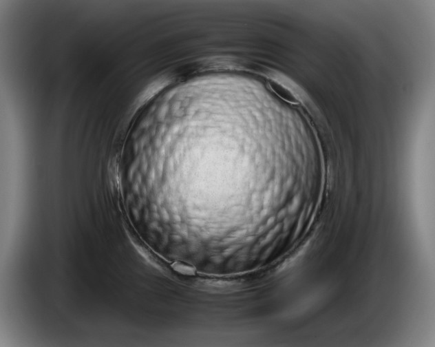 X0000085781241200703301418