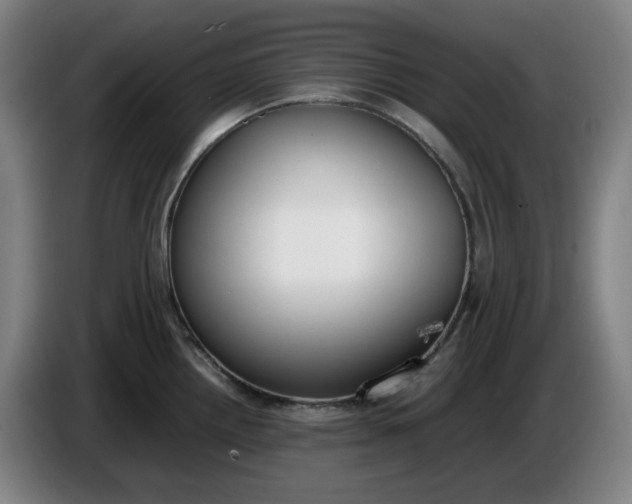 X0000085781242200703301418