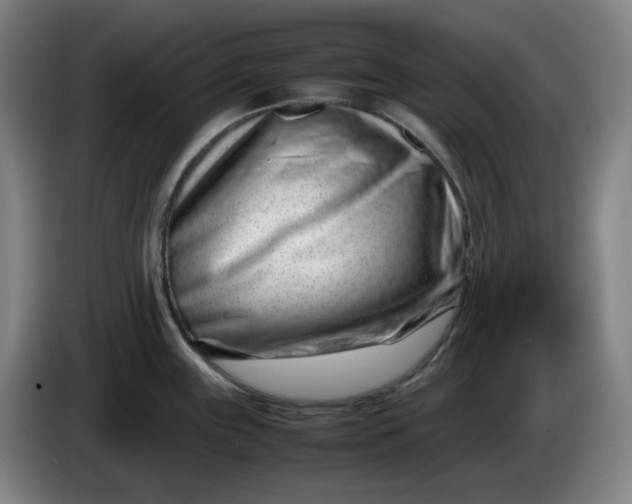 X0000085781243200703301418