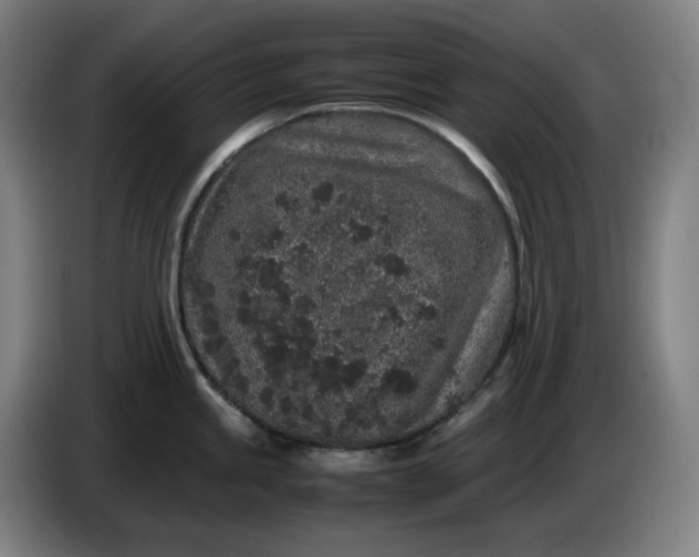 X0000085781245200703301418