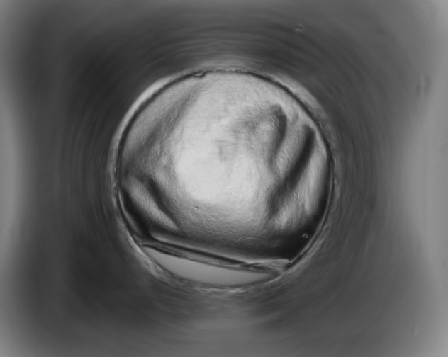 X0000085781248200703301418