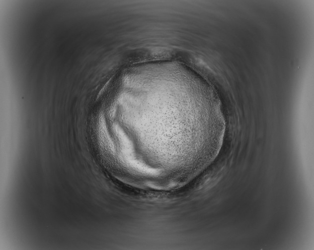 X0000085781249200703301418