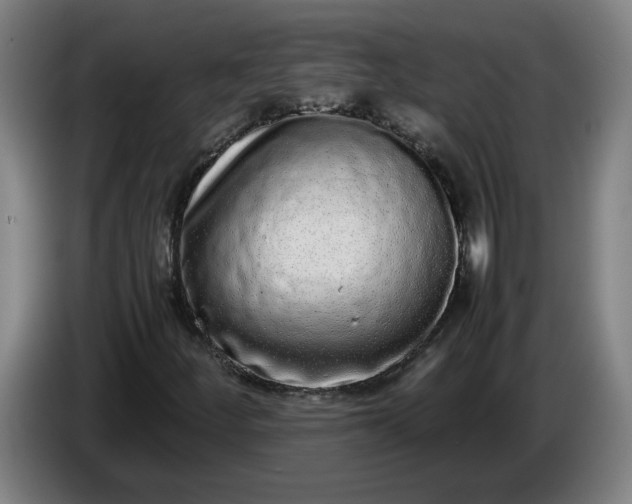 X0000085781252200703301418