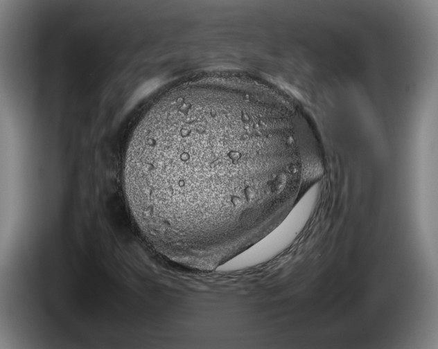 X0000085781255200703301417