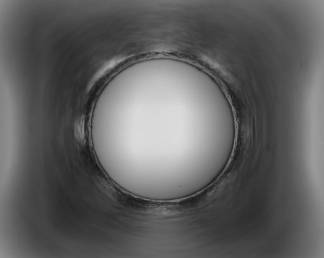 X0000085781262200703301417