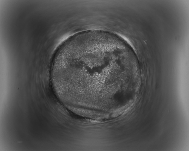 X0000085781263200703301417