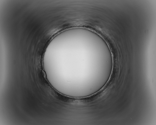 X0000085781265200703301417