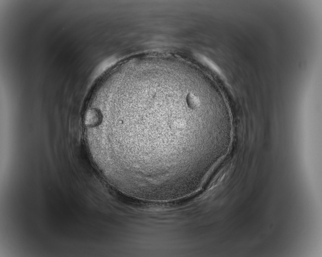 X0000085781267200703301417