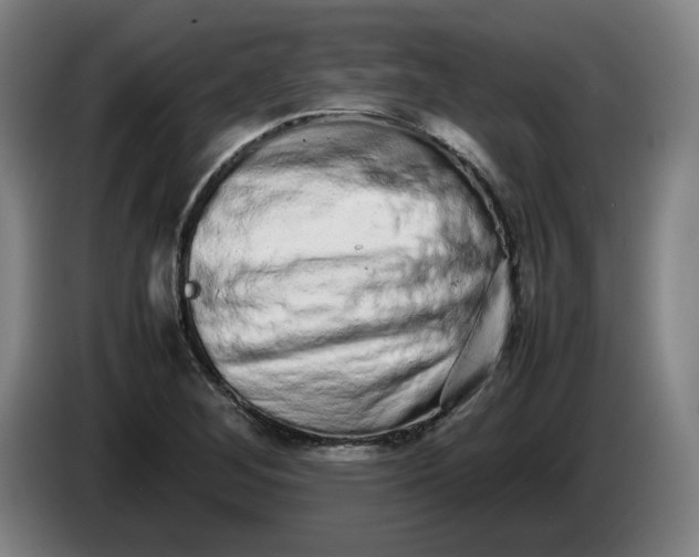 X0000085781268200703301417