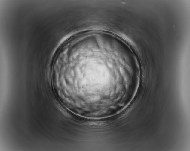 X0000085781272200703301417