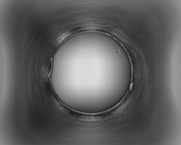 X0000085781273200703301417