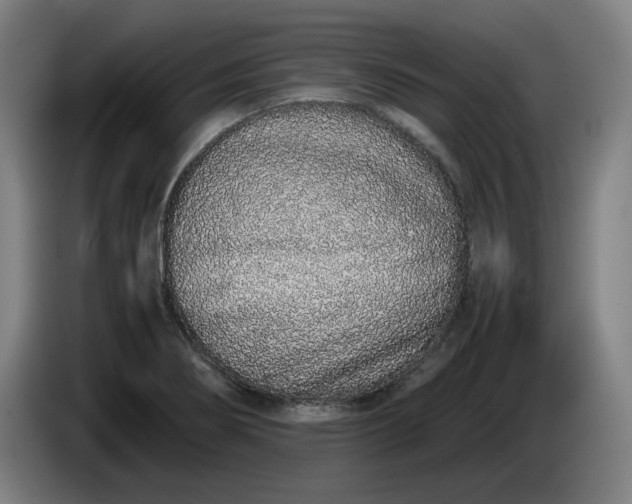 X0000085781274200703301417