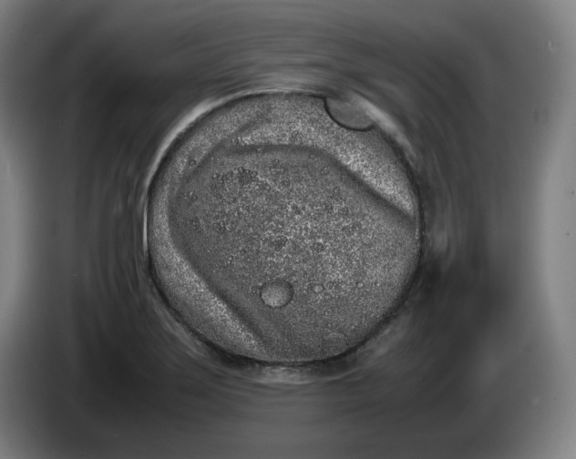 X0000085781275200703301417