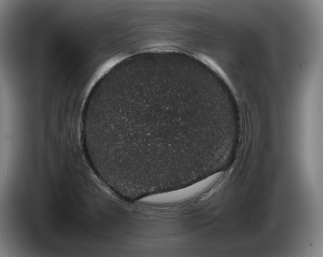 X0000085781277200703301417