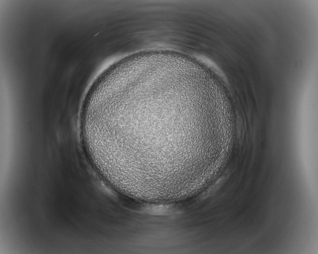 X0000085781278200703301417