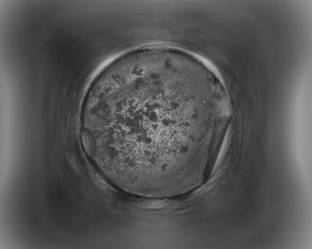 X0000085781279200703301417