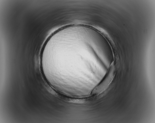 X0000085781280200703301417