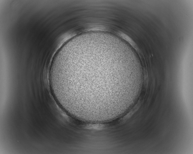 X0000085781282200703301417