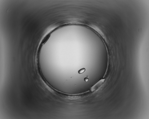 X0000085781285200703301417