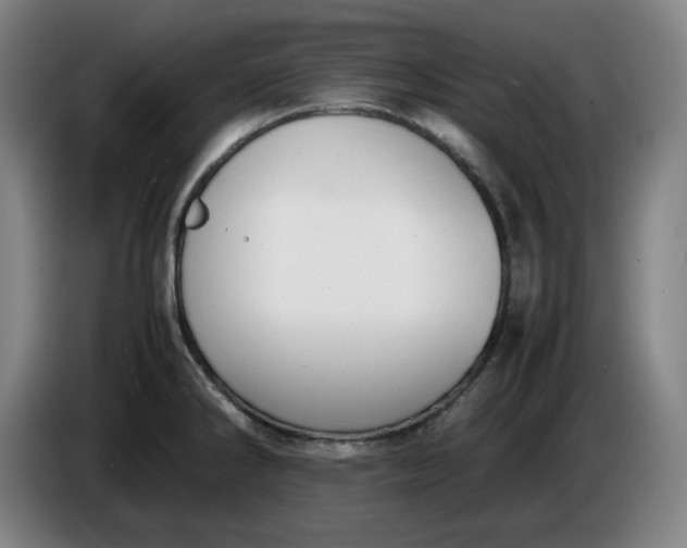 X0000085781286200703301417