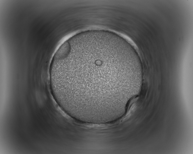 X0000085781287200703301417