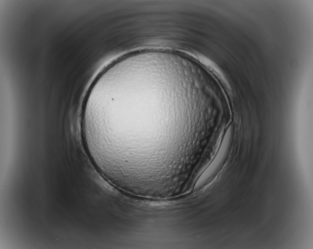 X0000085781288200703301417