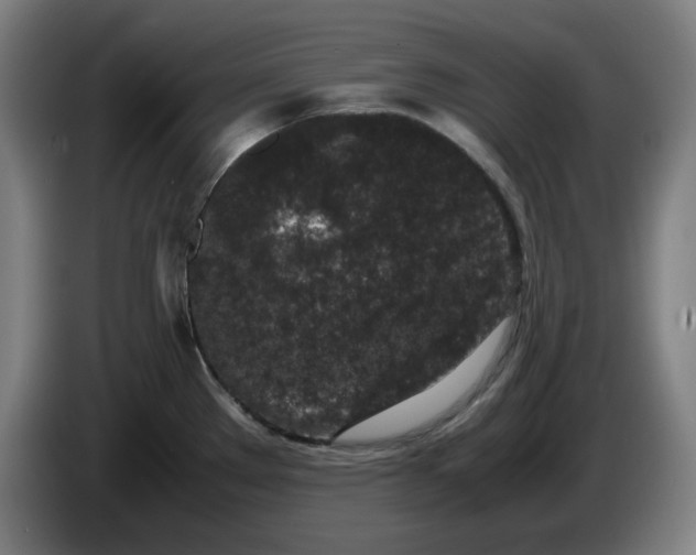 X0000085781289200703301417