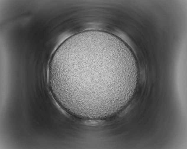 X0000085781290200703301417