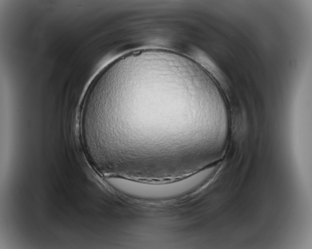 X0000085781292200703301417