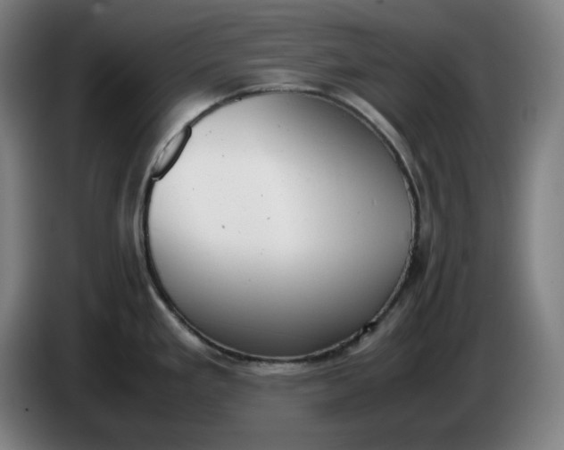 X0000085781293200703301417