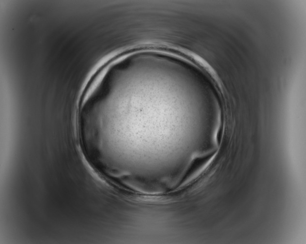 X0000085781295200703301417