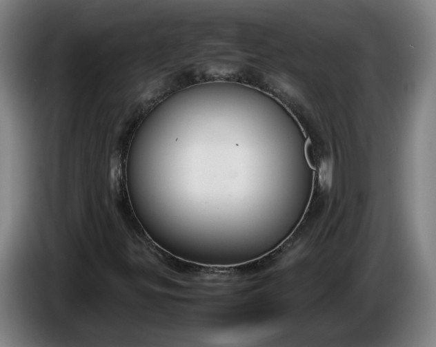 X0000085781299200703301416