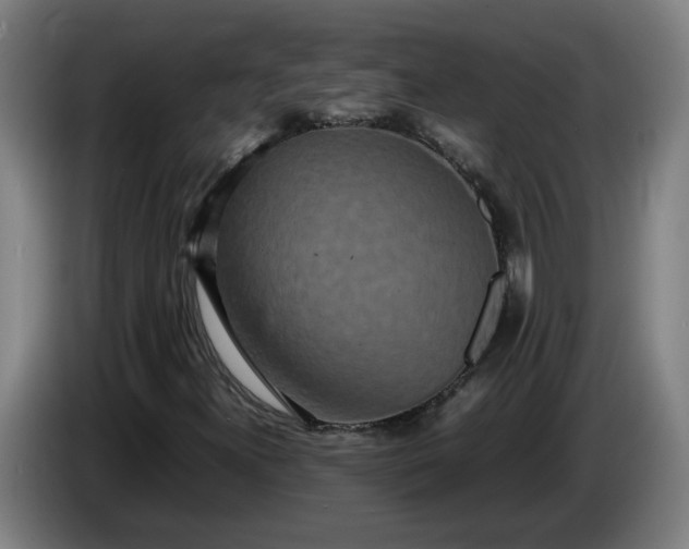 X0000085781300200703301416