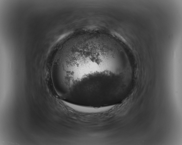 X0000085781303200703301416