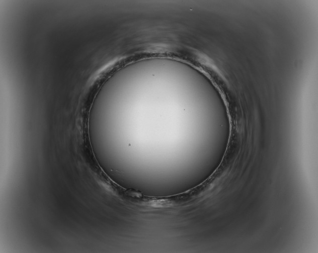 X0000085781304200703301416