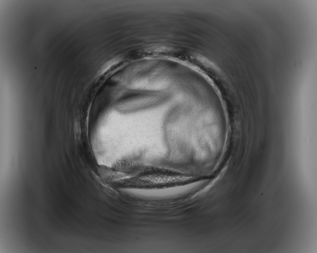 X0000085781305200703301416