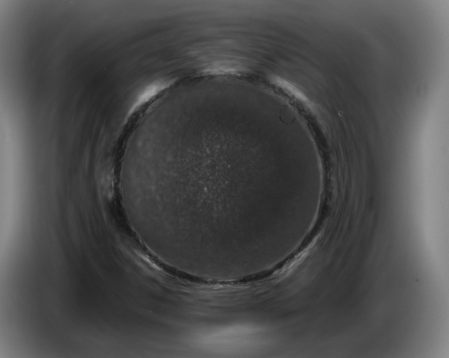 X0000085781306200703301416