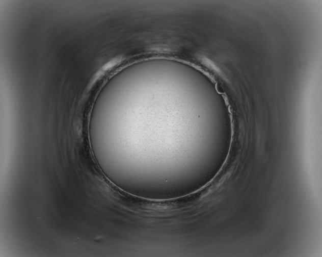 X0000085781307200703301416