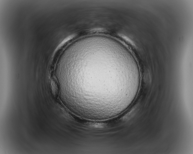 X0000085781309200703301416