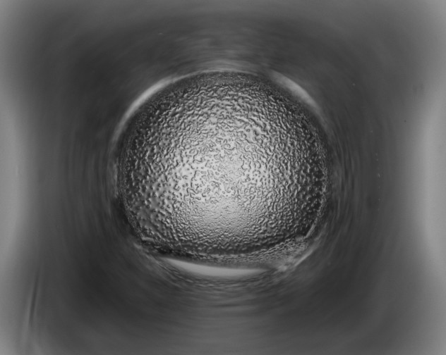 X0000085781310200703301416