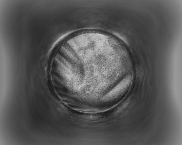 X0000085781311200703301416