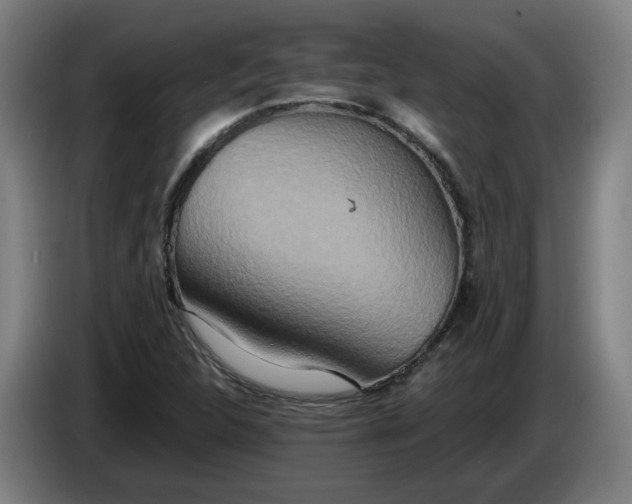 X0000085781312200703301416