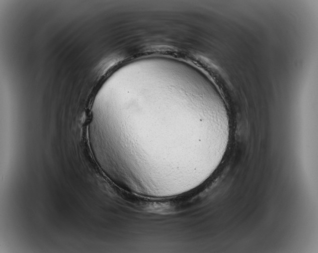 X0000085781313200703301416