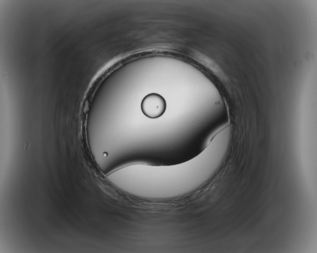 X0000085781316200703301416