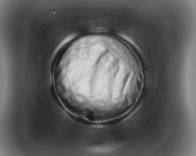 X0000085781317200703301416