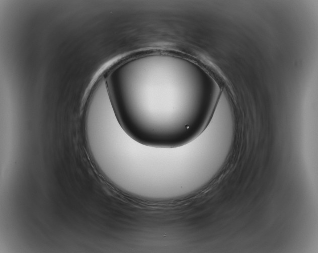 X0000085781320200703301417