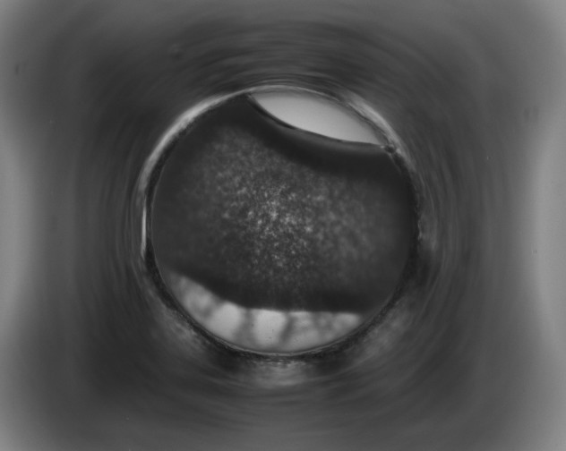 X0000085781323200703301417