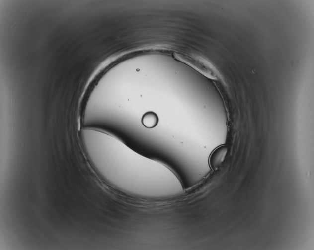 X0000085781324200703301417