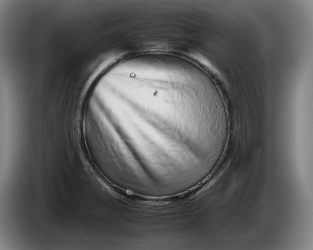 X0000085781325200703301417