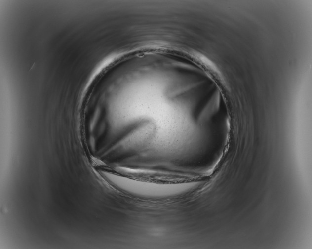 X0000085781326200703301417